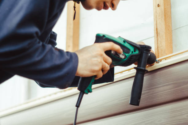 Best Insulated Siding Installation  in Osceola, IA
